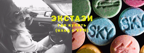 крисы Козельск