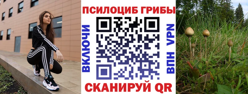 мориарти как зайти  закладки  Пестово  Галлюциногенные грибы Magic Shrooms 